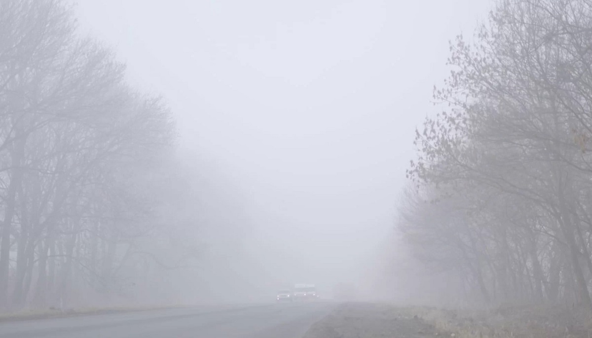 जलपाईगुड़ी में कड़ाके की ठंड: पारा 9 डिग्री तक गिरा, जनजीवन अस्त-व्यस्त